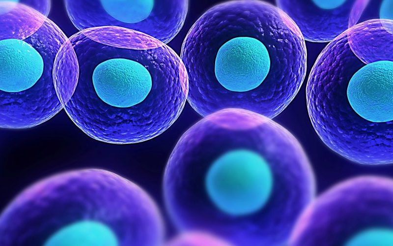 Exosome Pro Hair