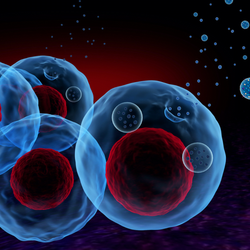 Exosome Pro Treatment
