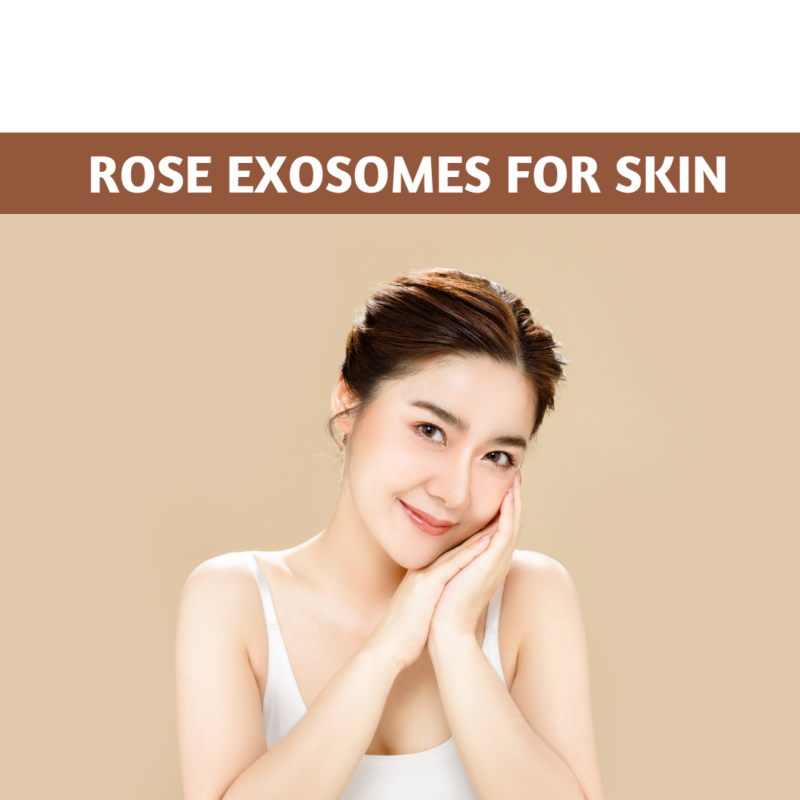 Rose exosomes for skin