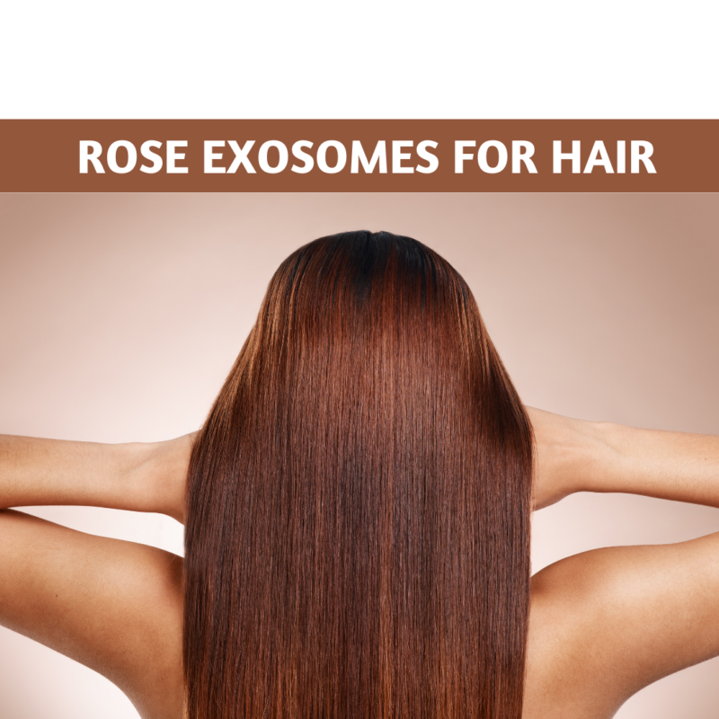 Rose exosomes for hair